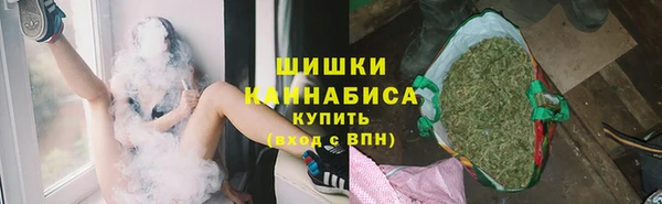 стаф Богородицк