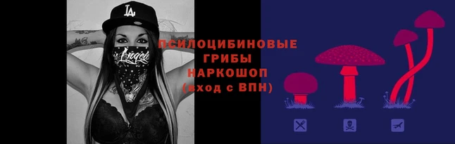 меф VHQ Богородск