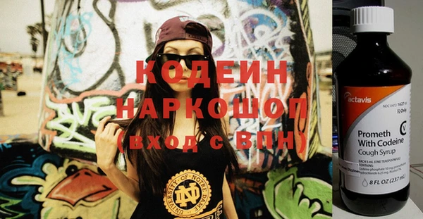 прущий лед Богданович