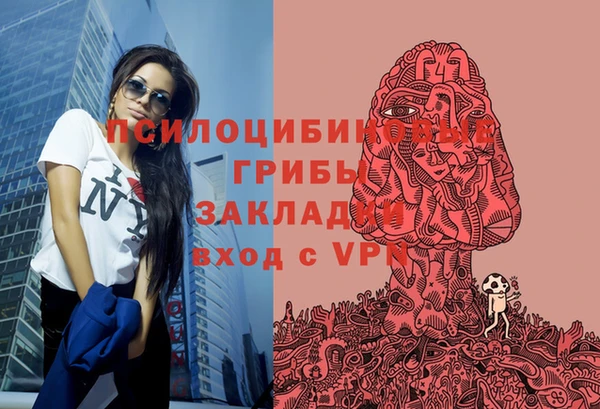 прущий лед Богданович