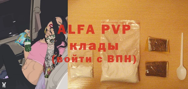 прущий лед Богданович