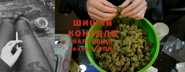 стаф Богородицк