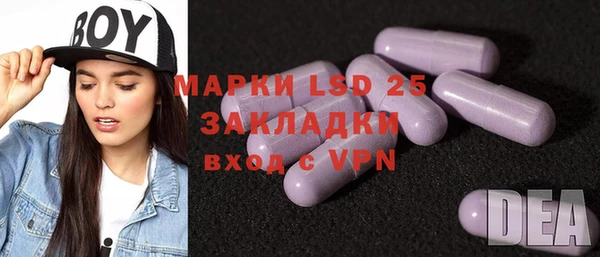 прущий лед Богданович