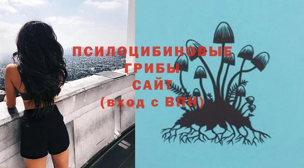 прущий лед Богданович