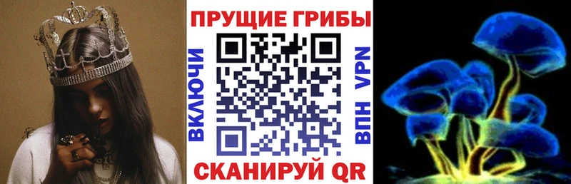 Галлюциногенные грибы MAGIC MUSHROOMS  наркошоп  Ярославль 